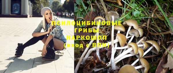 винт Алексеевка