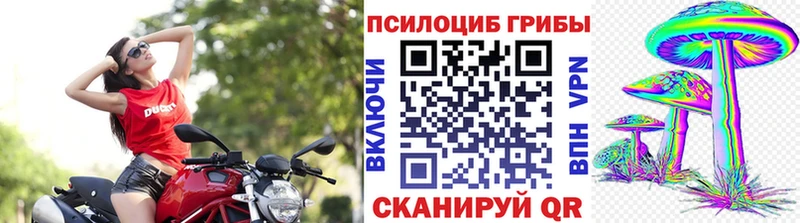 Галлюциногенные грибы Psilocybine cubensis  Урай 